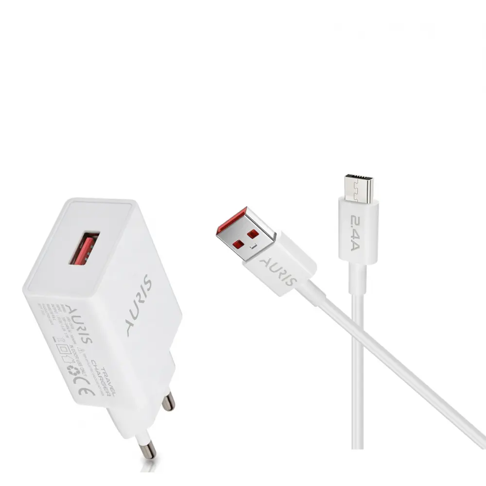 Auris Ch28 Micro Şarj Seti 12w 2-4 Amper